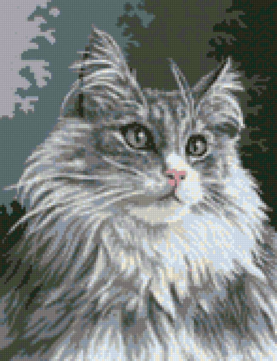 Кошечка - кошка, красавица - предпросмотр