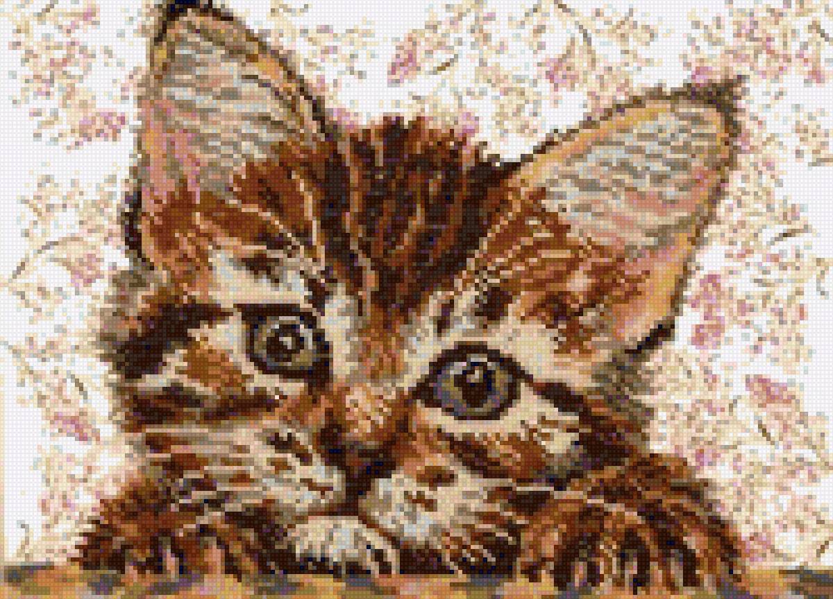 Котенок - кот, котенок, кошка - предпросмотр