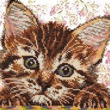 Схема вышивки «Котенок»