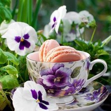 Схема вышивки «Макаруны»