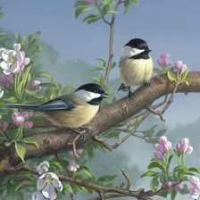 Схема вышивки «птички на ветке»