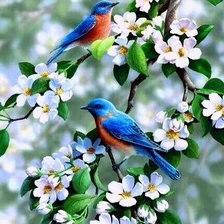 Схема вышивки «птицы на ветке»