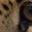 Предпросмотр схемы вышивки «Леопард» (№1514649)