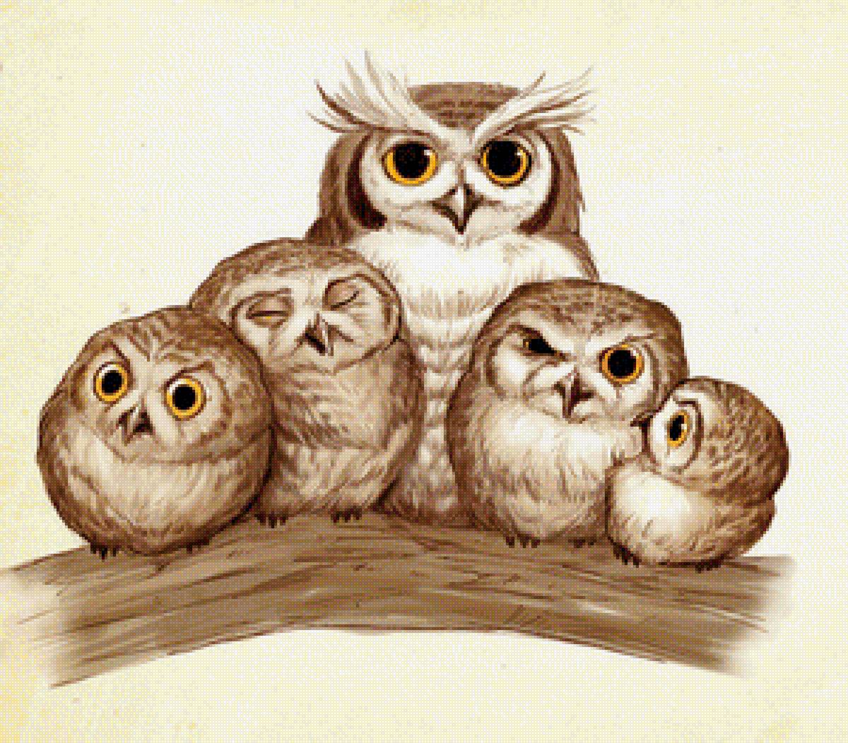 Семья - совушки - предпросмотр