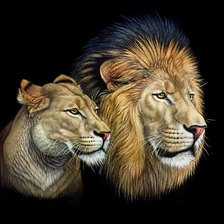 Схема вышивки «королевская чета»