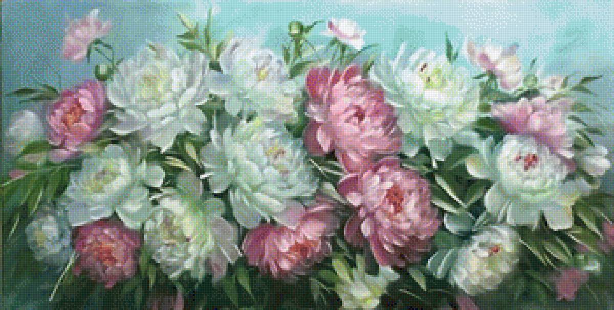 piwonie biało-różowe - предпросмотр