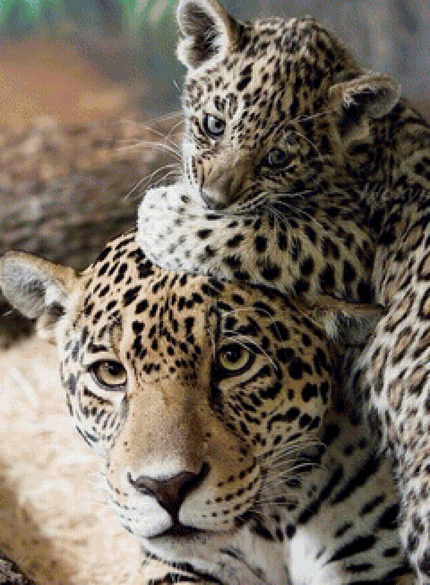 №1515012 - предпросмотр