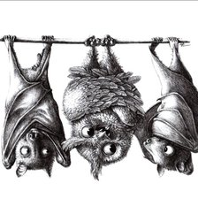 Схема вышивки «сова»