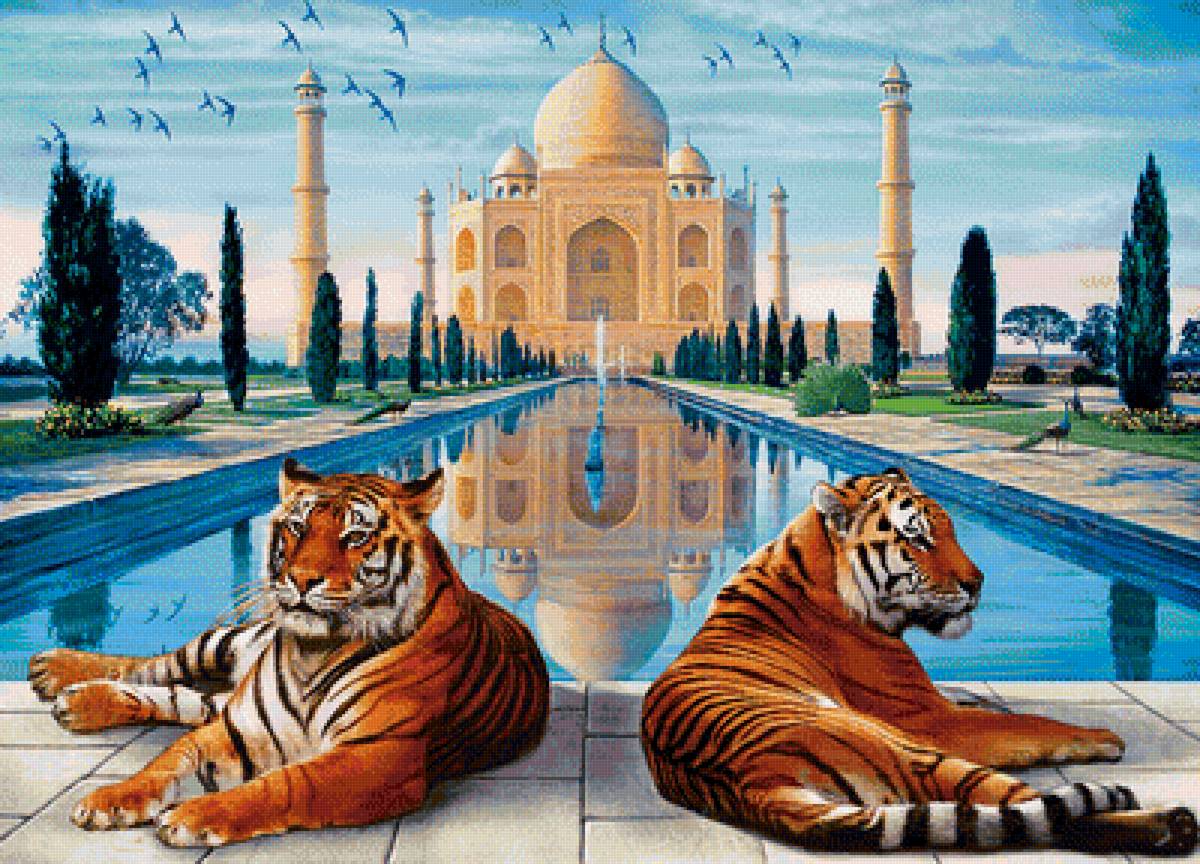 obraz - предпросмотр