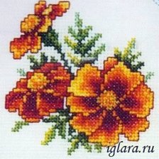 Схема вышивки «Бархатцы1»