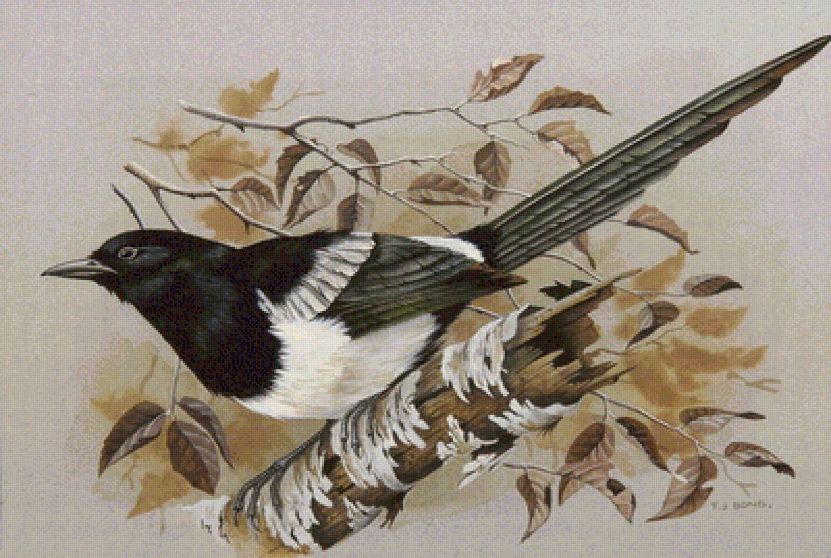 №1516230 - предпросмотр