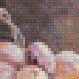 Предпросмотр схемы вышивки «Nur,karpet» (№1516435)