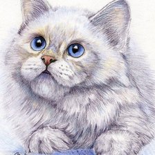 Схема вышивки «кот»