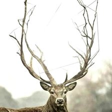 Схема вышивки «Олень»