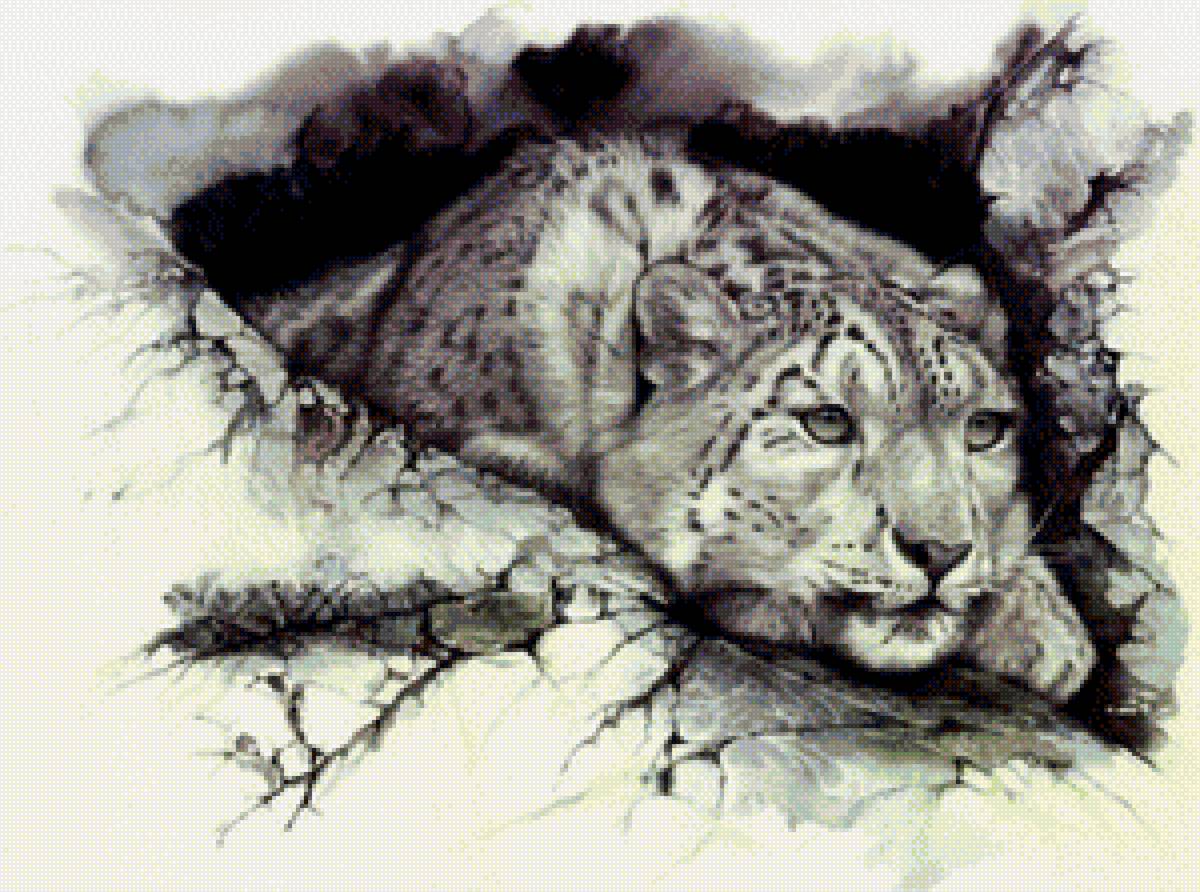 Снежный барс 2 - снежный барс животные - предпросмотр