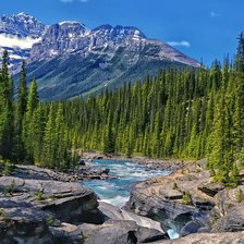 Схема вышивки «природа»