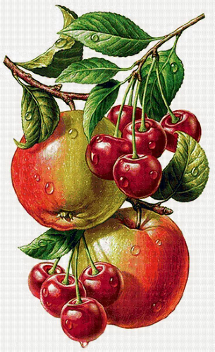 Фрукты - яблоки, вишенки - предпросмотр