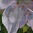 Предпросмотр схемы вышивки «букет» (№1517863)