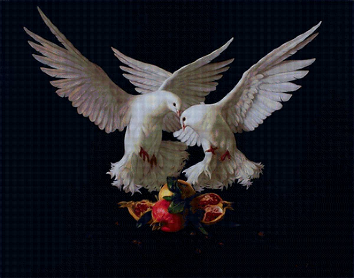 Голуби - предпросмотр