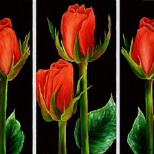 Схема вышивки «розы красные»