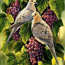 Схема вышивки «Голуби и виноград»