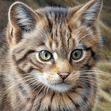 Схема вышивки «Кот»