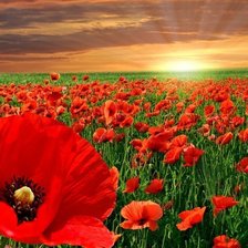 Схема вышивки «№1519473»