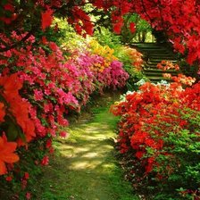 Схема вышивки «№1519575»