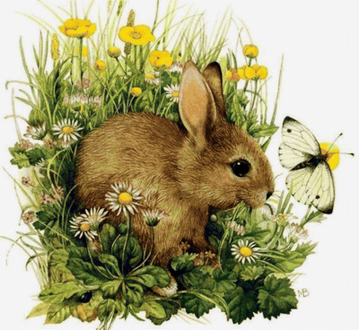 Зайчишка - предпросмотр