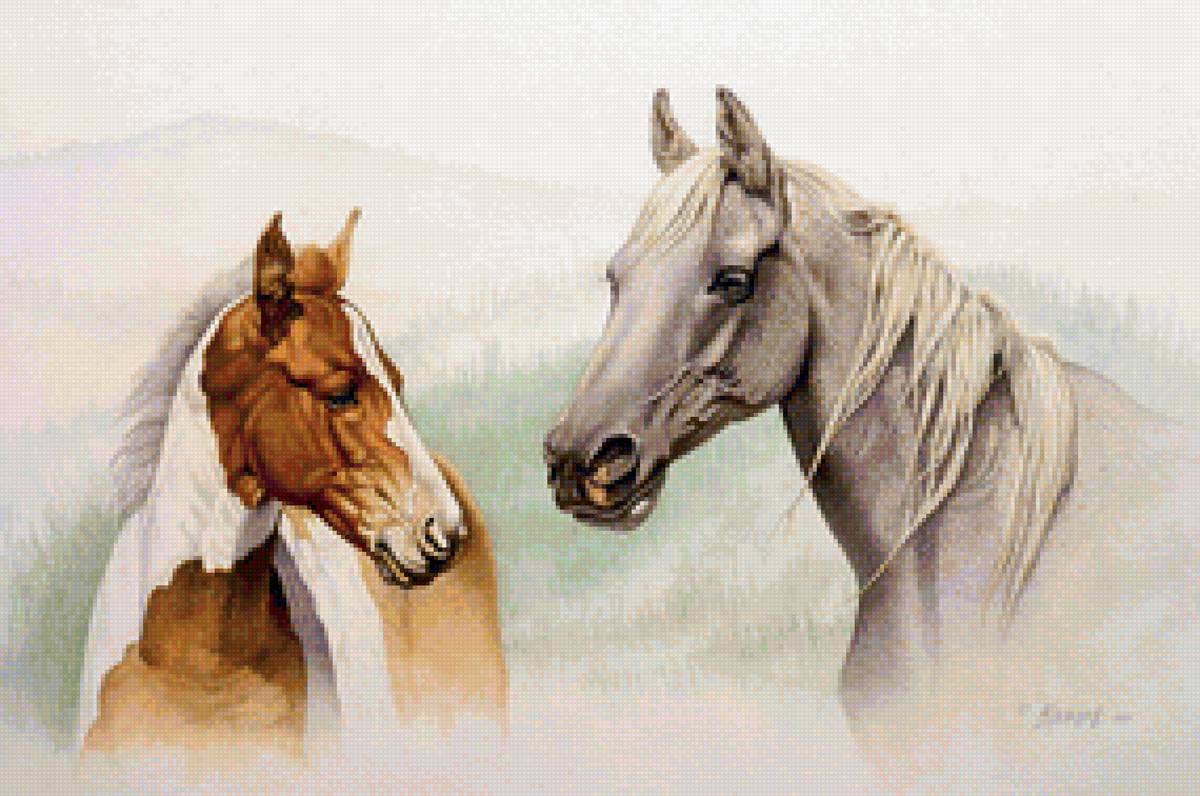 №1521212 - лошади - предпросмотр