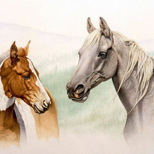 Схема вышивки «№1521212»