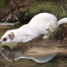 Схема вышивки «№1521263»