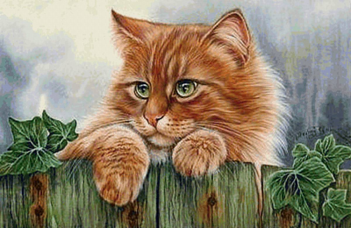 Рыжий кот - предпросмотр