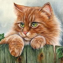 Схема вышивки «Рыжий кот»
