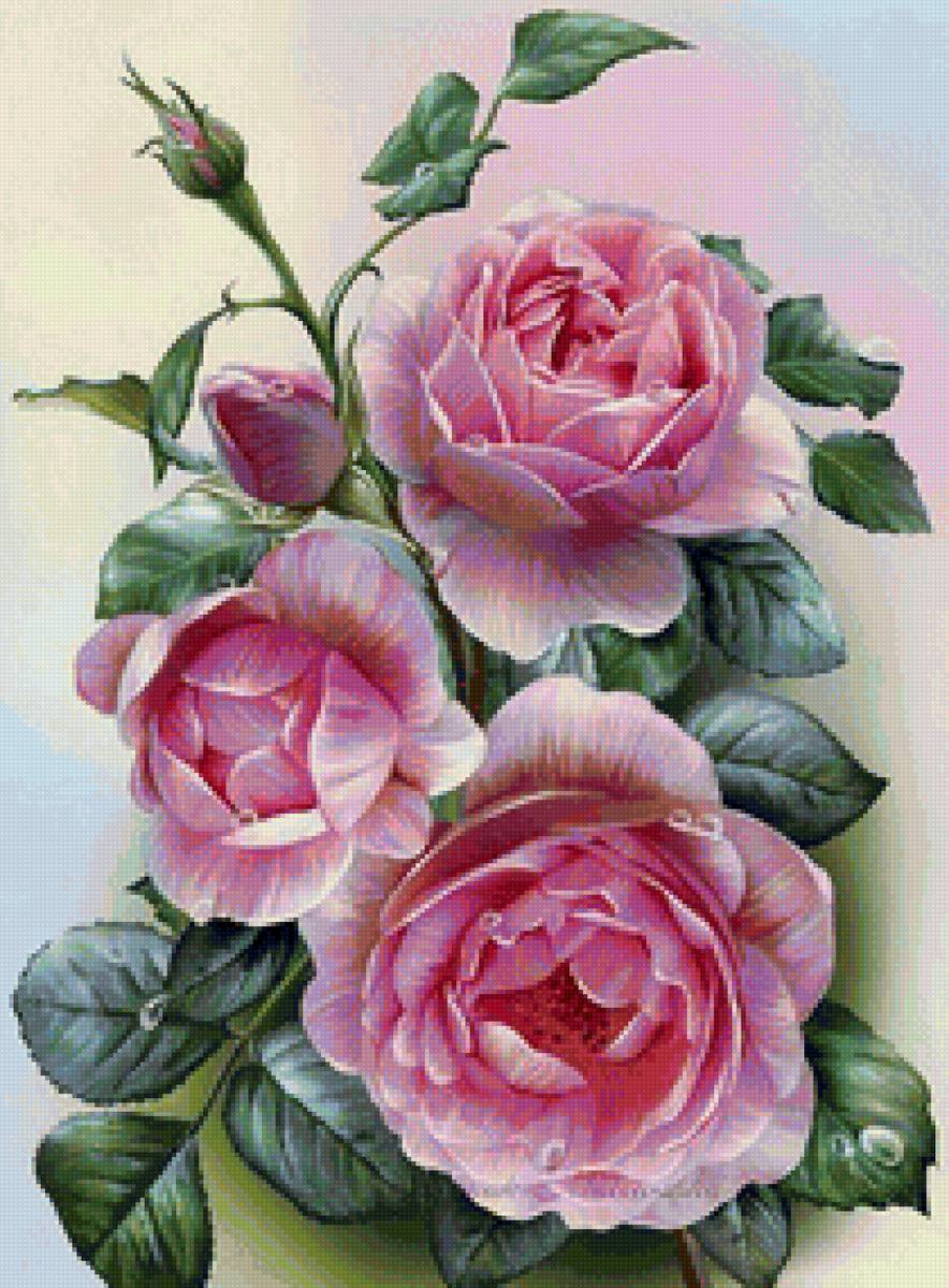 №1521393 - предпросмотр