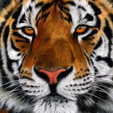 Схема вышивки «№1521469»