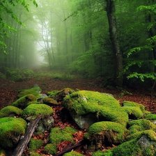 Схема вышивки «№1521668»