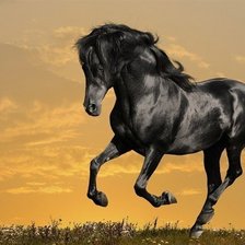 Схема вышивки «№1521813»