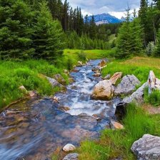 Схема вышивки «№1521939»