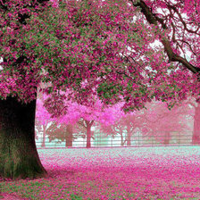 Схема вышивки «№1522211»