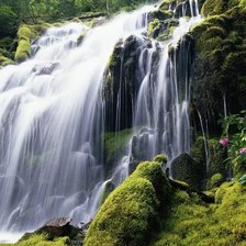 Схема вышивки «№1522246»