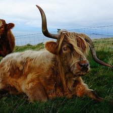 Схема вышивки «№1522271»