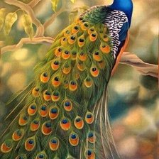 Схема вышивки «№1523121»