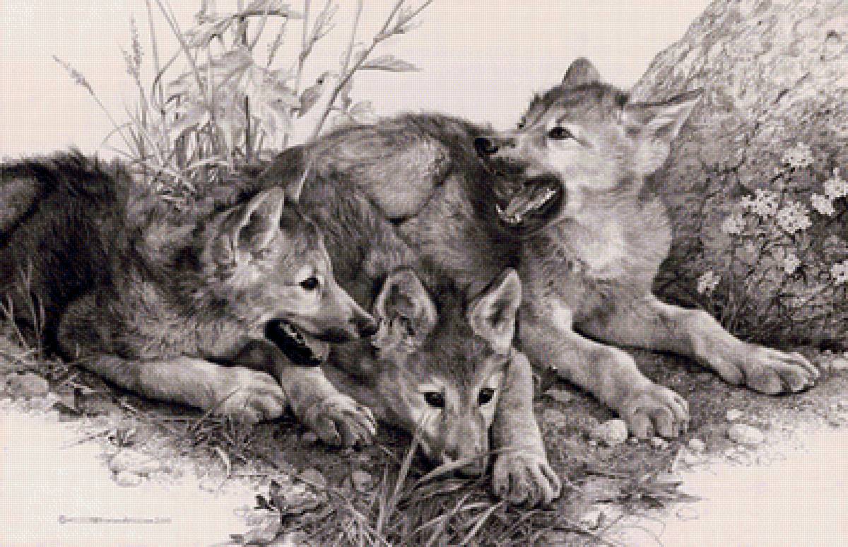 Волчата - предпросмотр