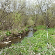 Схема вышивки «Ива весной»