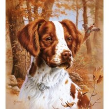 Схема вышивки «№1523715»