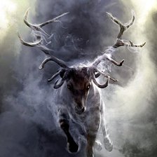 грозный олень