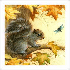 Схема вышивки «белка»