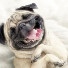 Схема вышивки «№1526514»