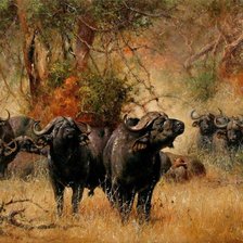 Схема вышивки «стадо буйволов»